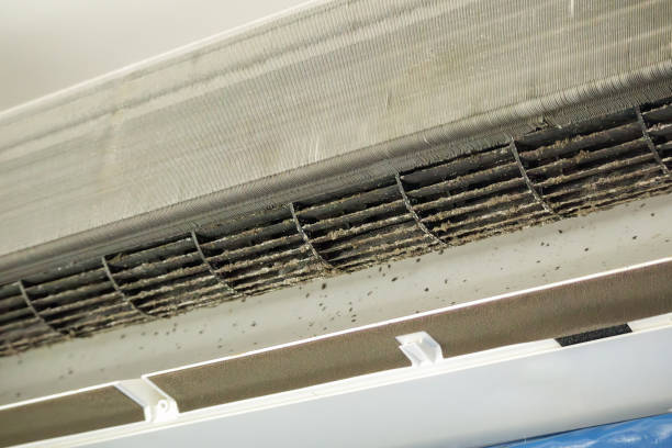 Best Air Duct Cleaning Company Near Me  in Pascoag, RI